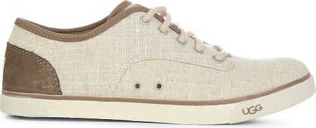 canvas uggs