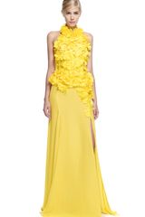 Nina Ricci Embroidered Silk Crepe Gown