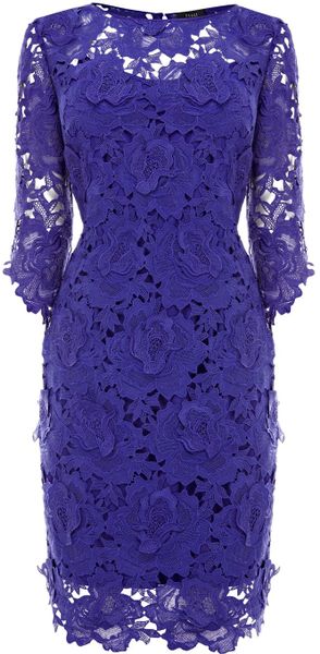 Coast Vivianna Lace Dress in Purple - Lyst