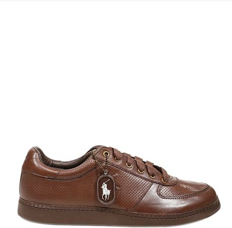 Polo Ralph Lauren Shoes Hernando Sneakers Leather in Brown for Men ... Polo Ralph Lauren Shoes Hernando Sneakers Leather in Brown for Men ...