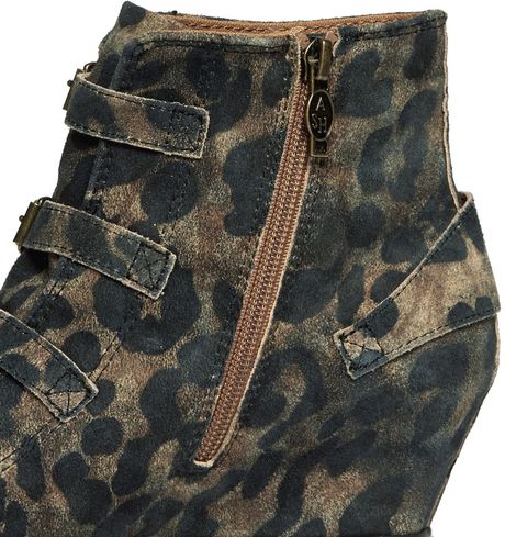 ash leopard sneakers
