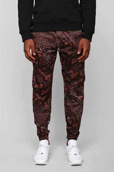 printed joggers for men