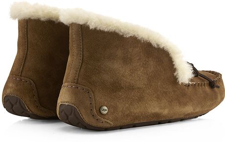 shearers ugg online