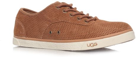 brown ugg trainers