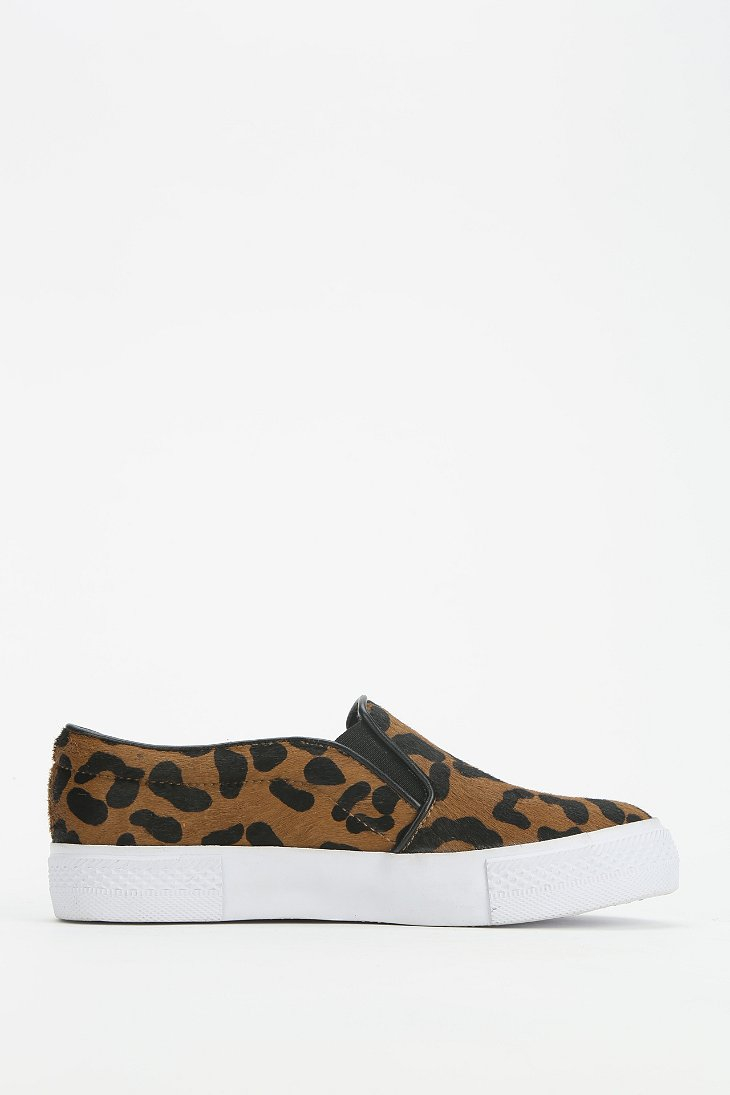 philip leopard steve madden