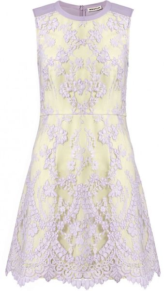 Whistles Elle Lace Dress in Purple (lilac)