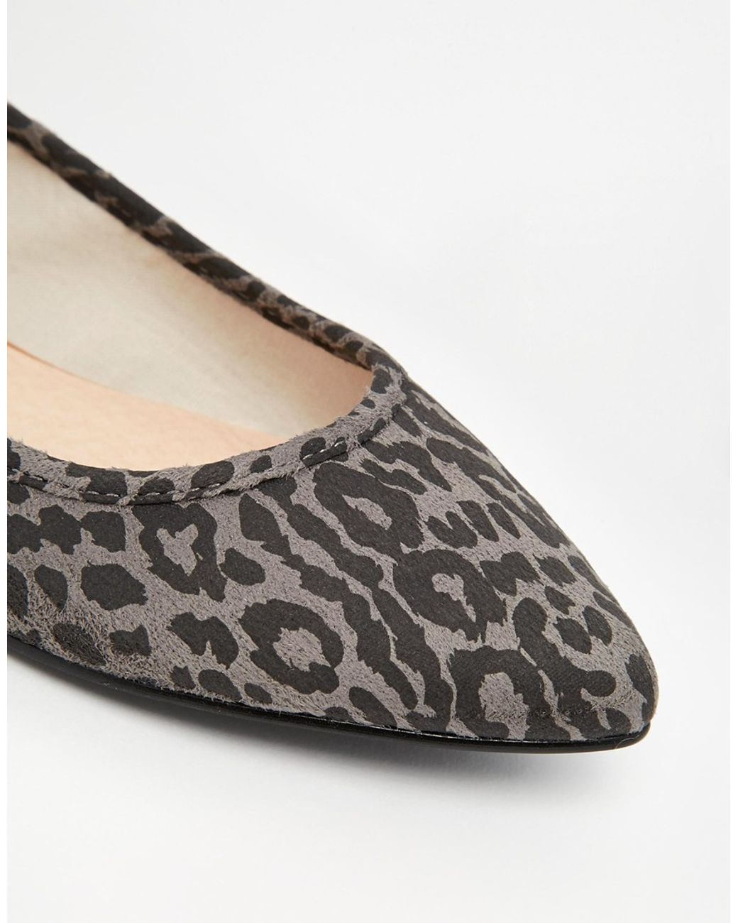 Oasis Leopard Print Point Flat Shoes in Gray