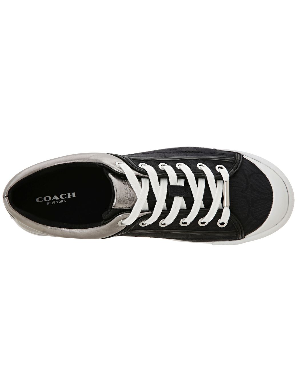 coach francesca sneakers