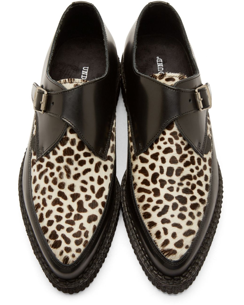 Leopard creepers cheap