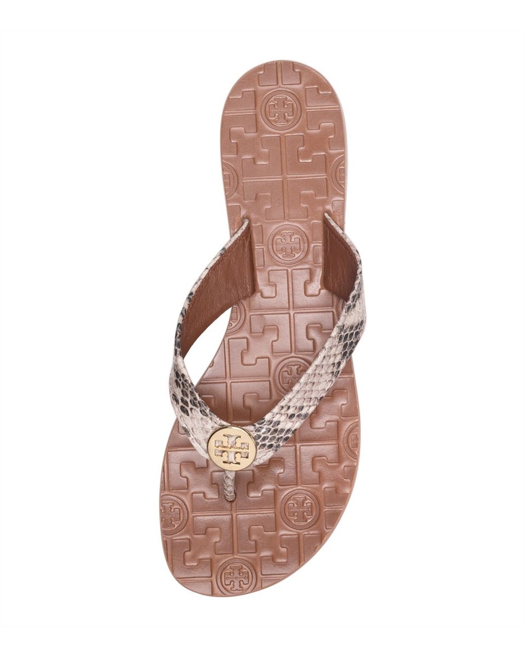 Tory Burch Python Printed Thora Sandal in Brown | Lyst