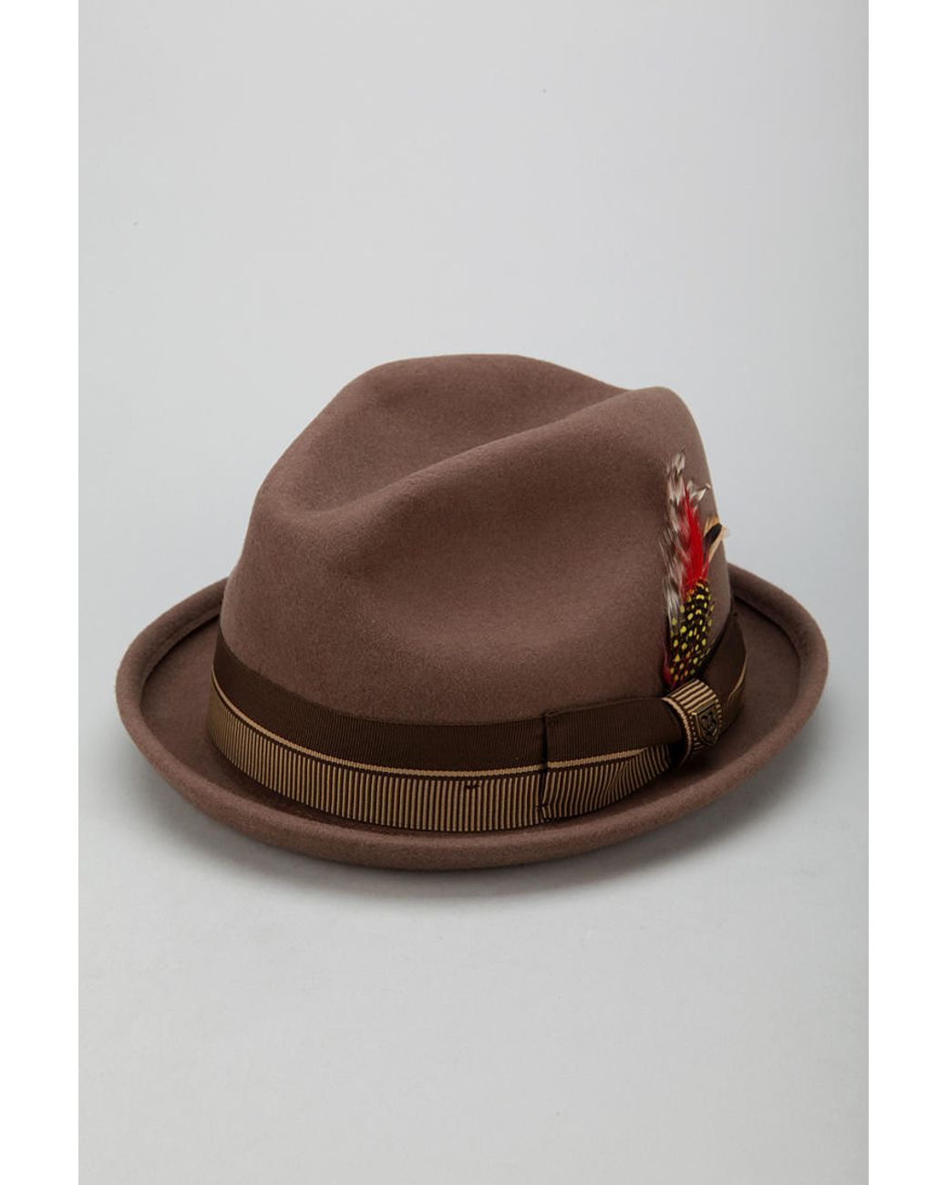 Urban Outfitters Brixton Gain Fedora in 