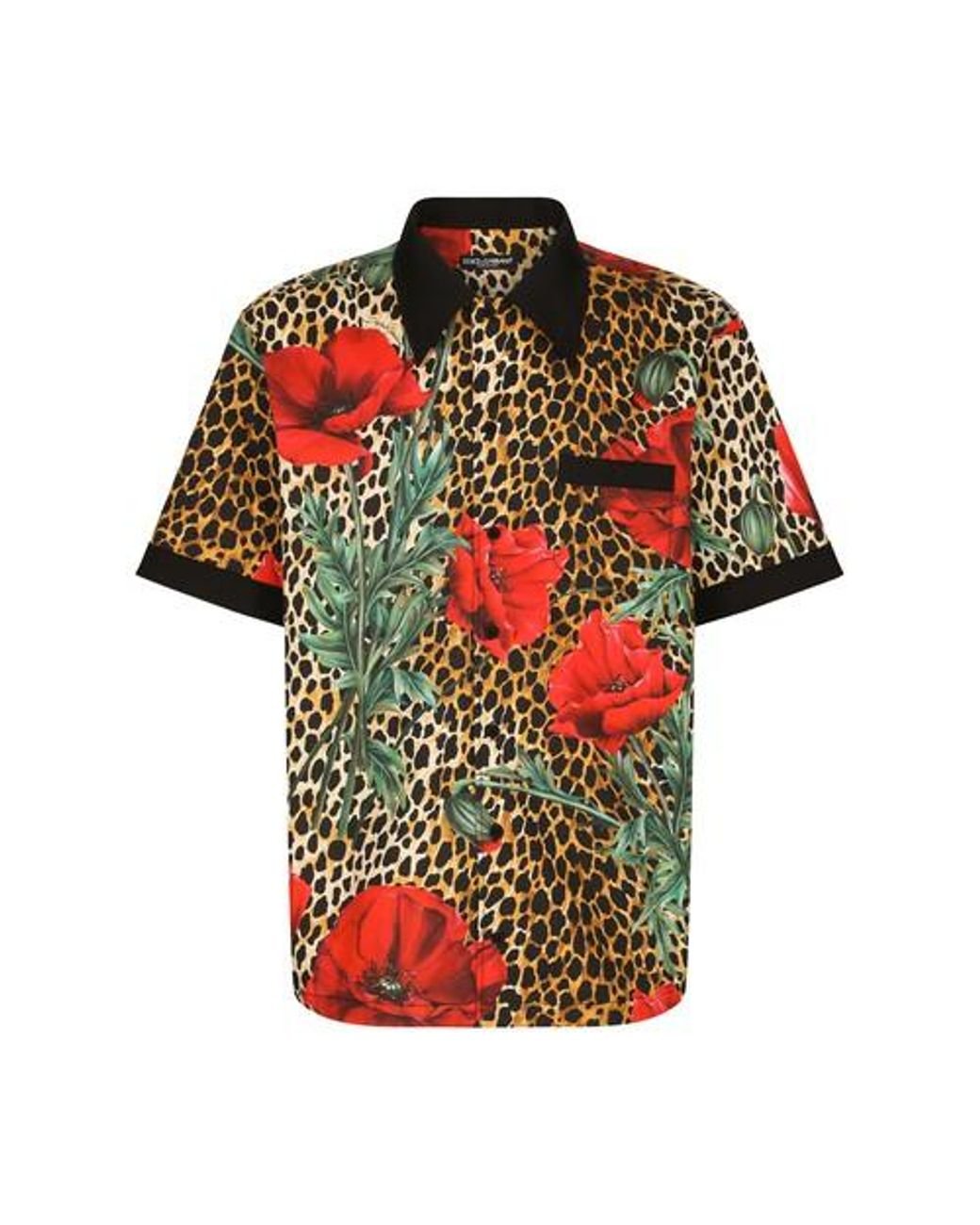 Dolce & Gabbana Hawaii-Hemd aus Baumwolle mit Ozelot- und Mohnblumenprint  in Rot für Herren | Lyst DE