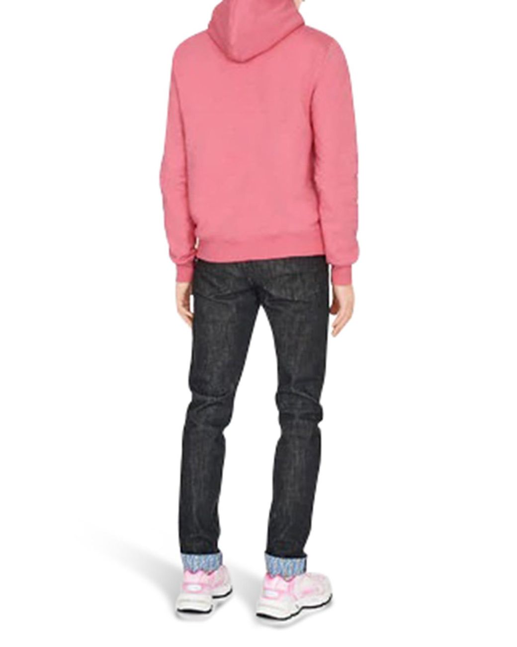 Dior Cotton Cd Embroidery Hoodie in 