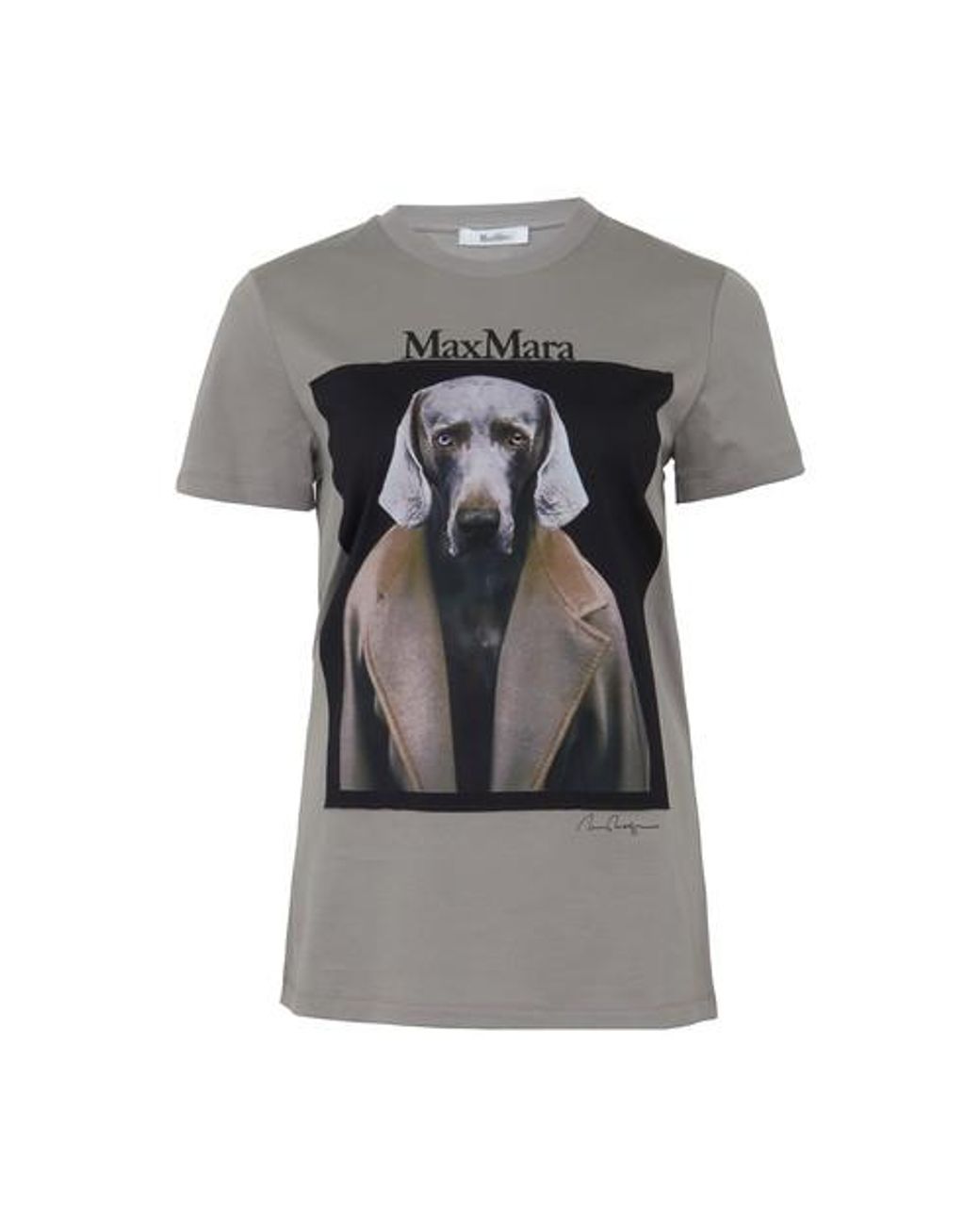 Max Mara Dogstar T-shirt | Lyst Canada