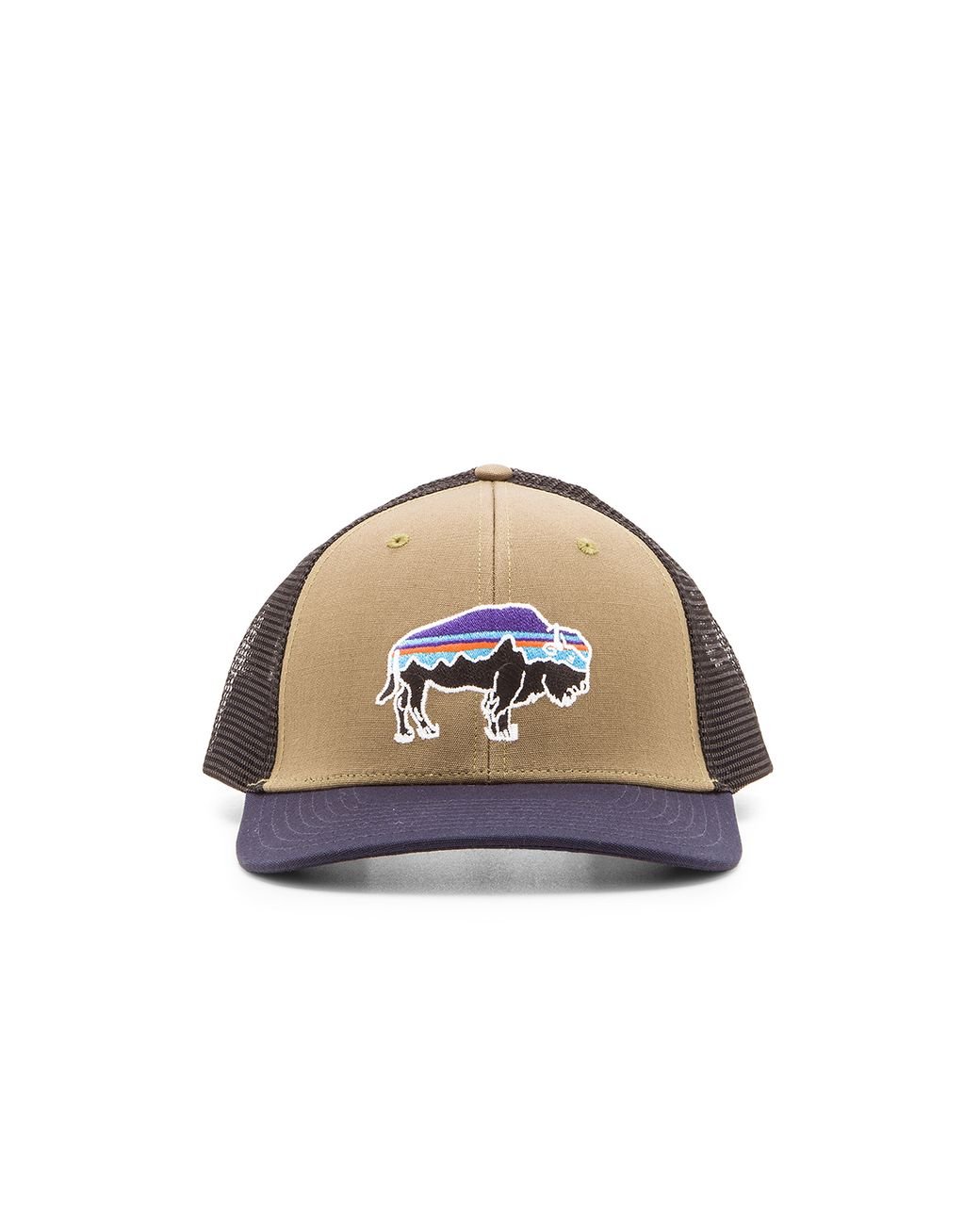 Patagonia Fitz Roy Bison dermoplast Trucker