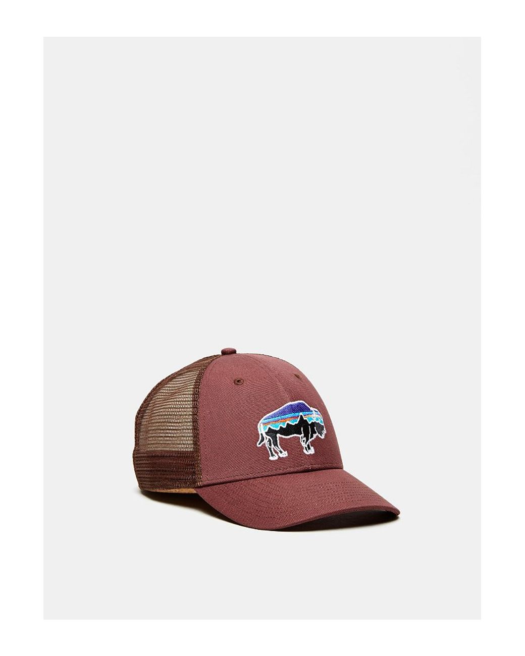 Low profile patagonia hat hot sale