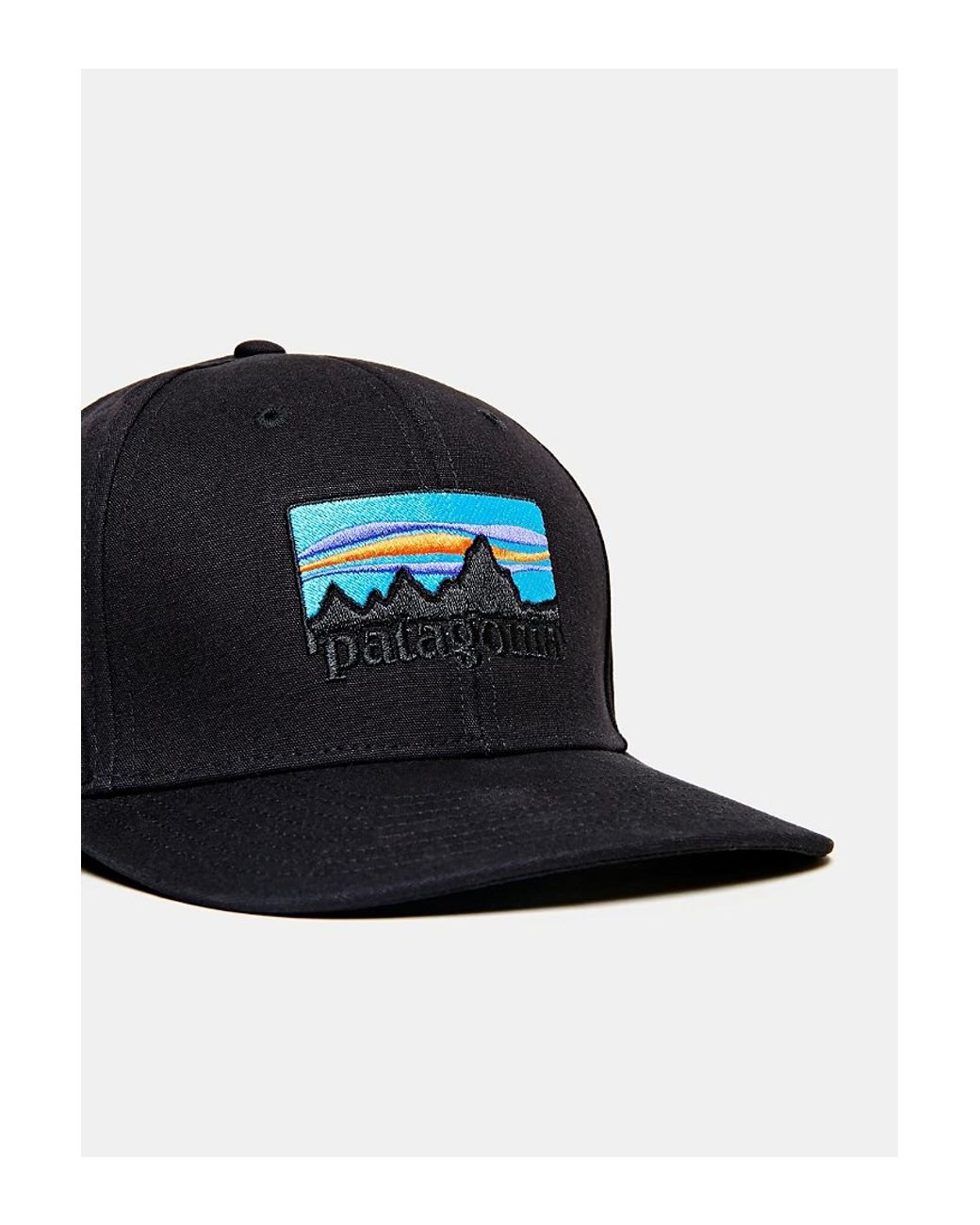Patagonia 73 logo roger that hat shop