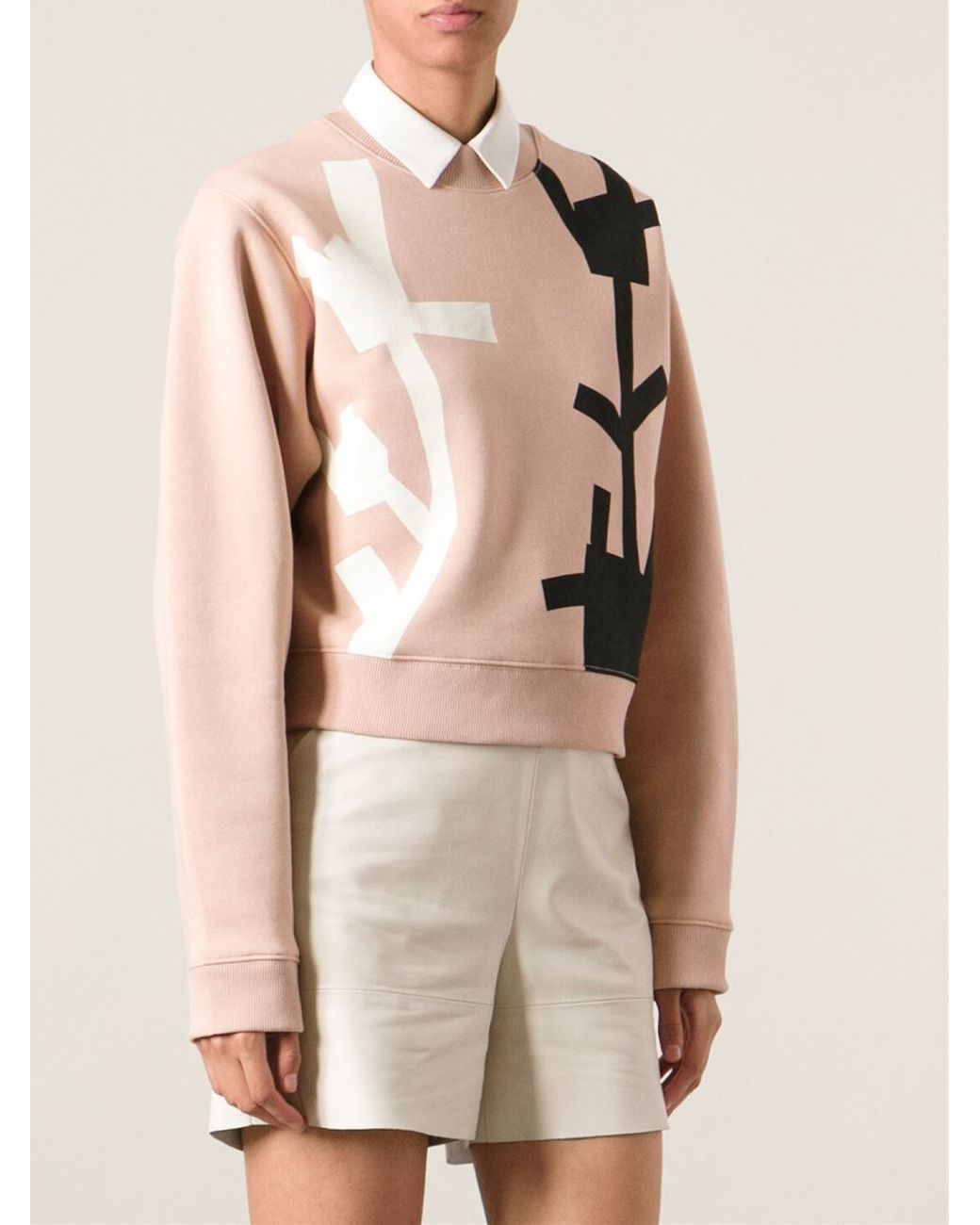 Acne cheap bird sweatshirt