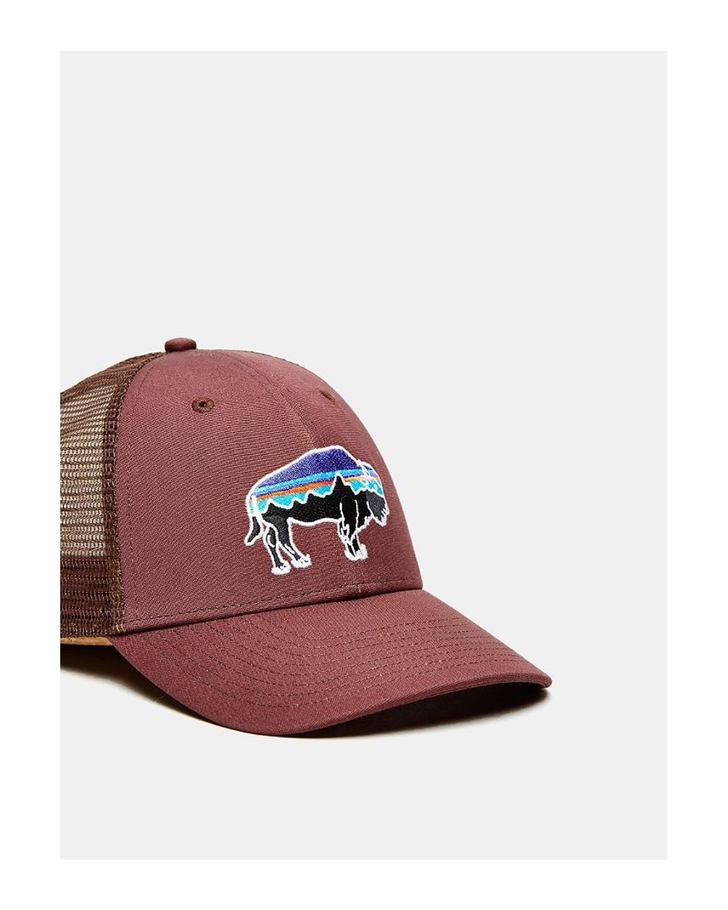 Patagonia low crown top