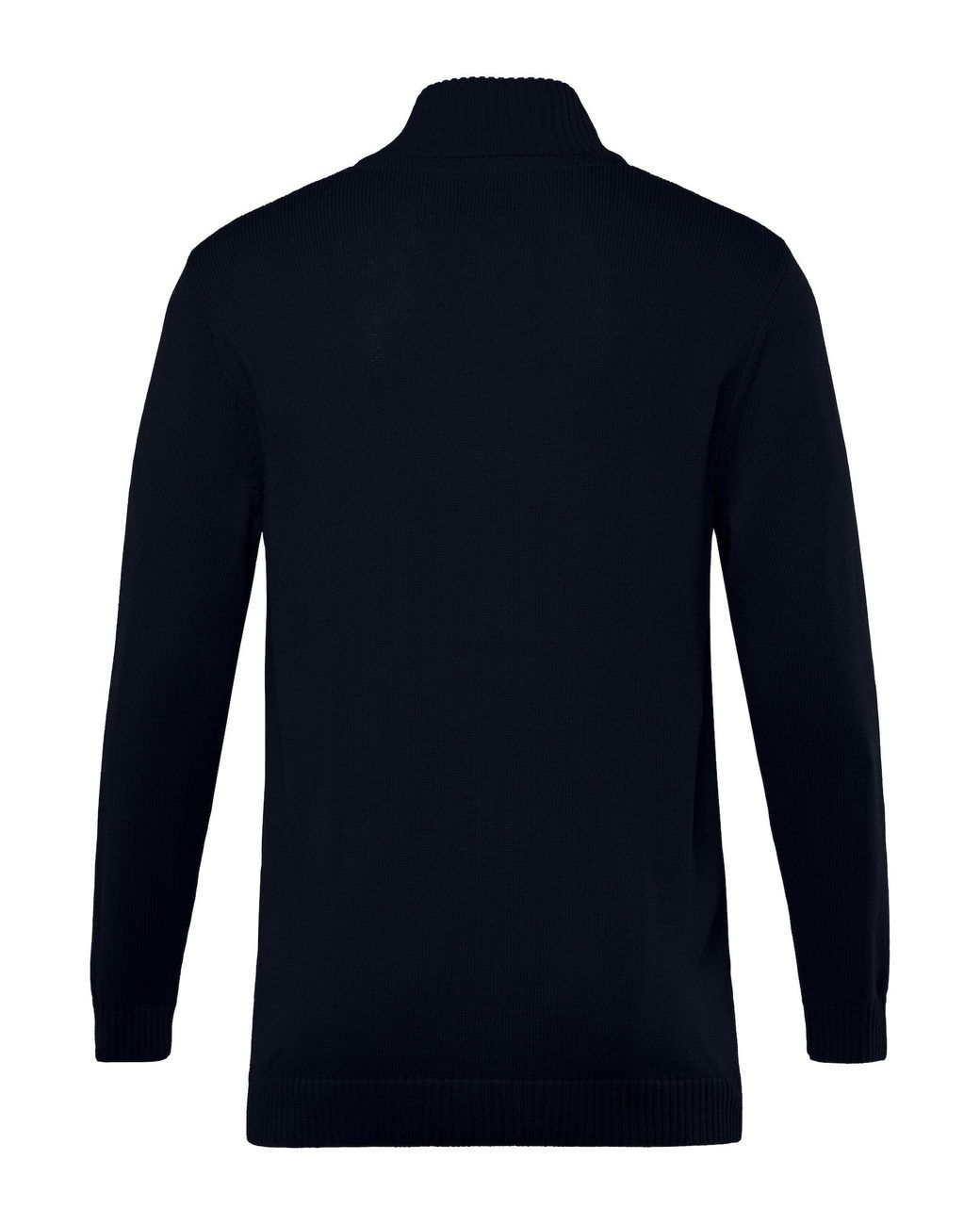 Men Plus Pullover in Blue für Herren