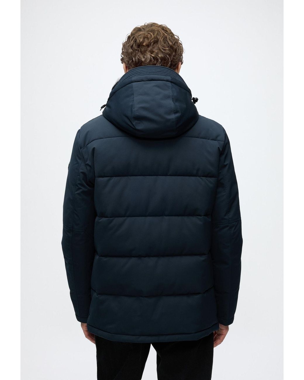 Strellson Jacke Piazza in Blue für Herren