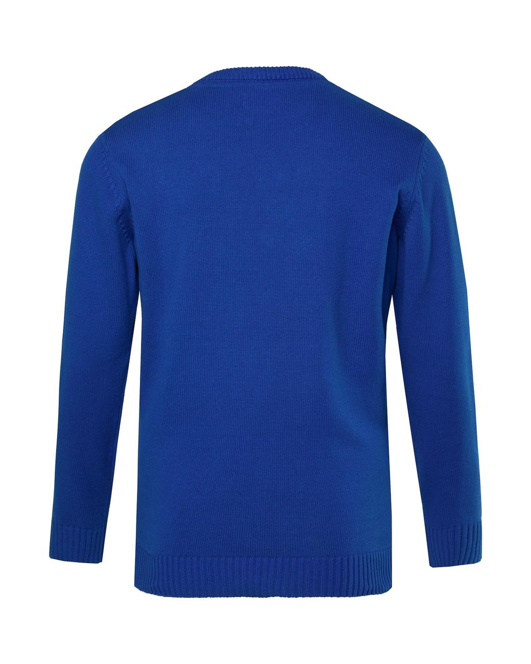 Men Plus Pullover in Blue für Herren