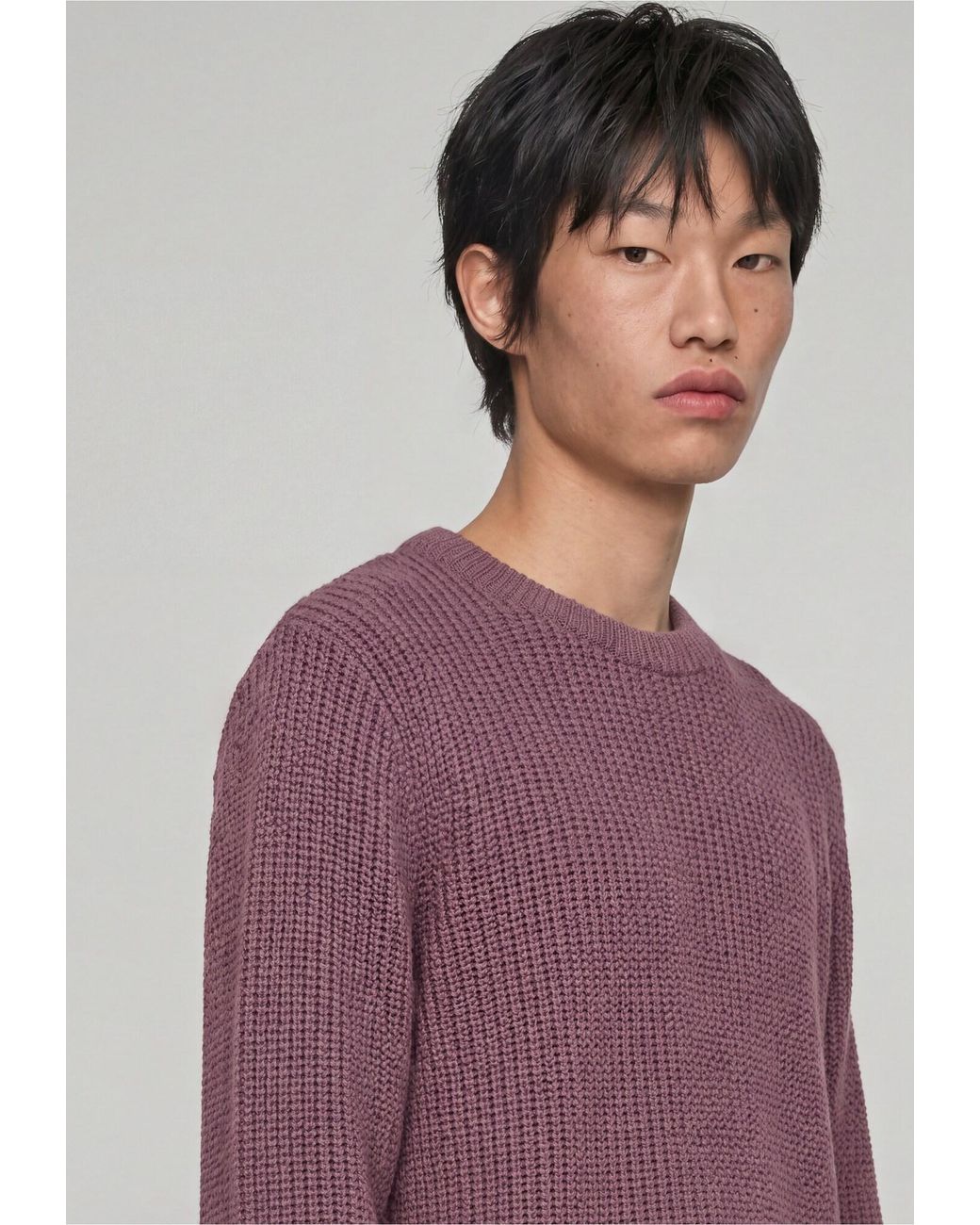 Edwin Pullover Nix in Purple für Herren