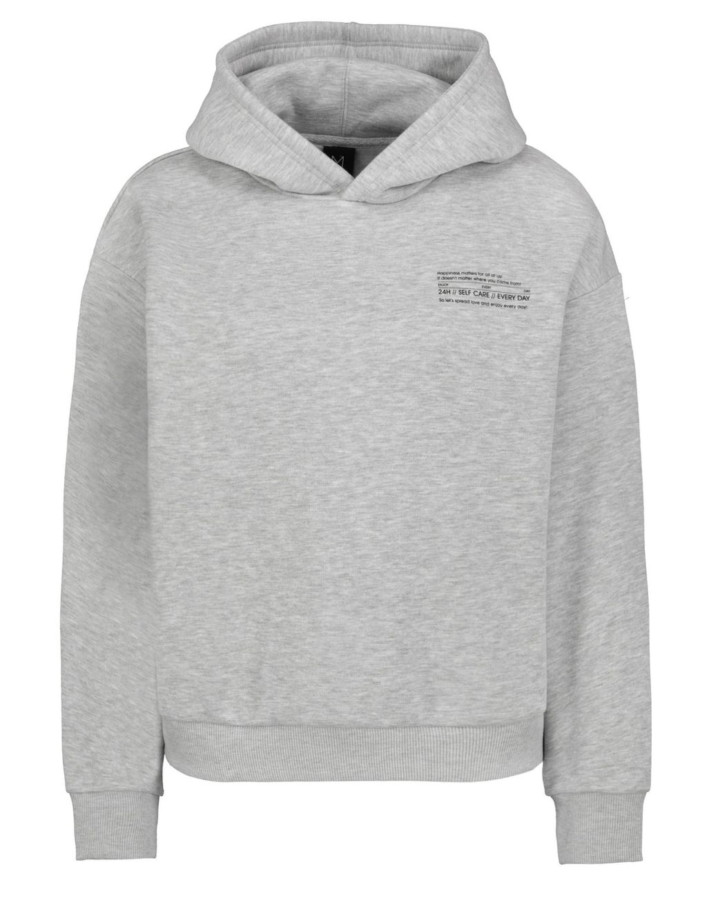 Sublevel Gray Sweatshirt