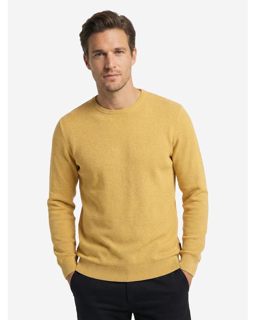 CASA MODA Pullover Basic in Yellow für Herren