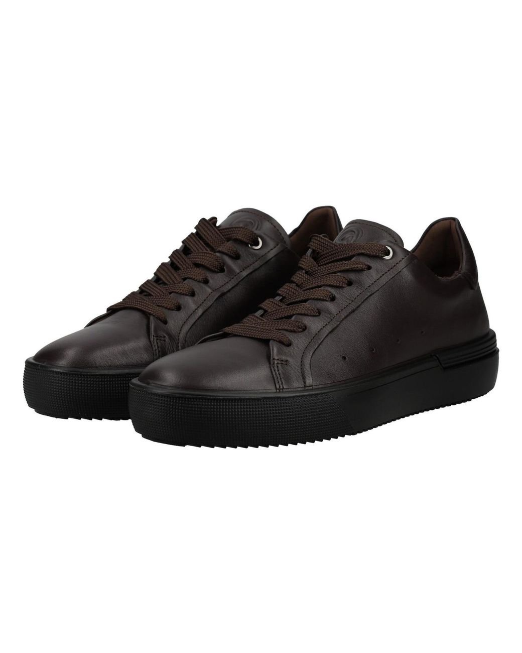 Ara Sneaker in Black für Herren