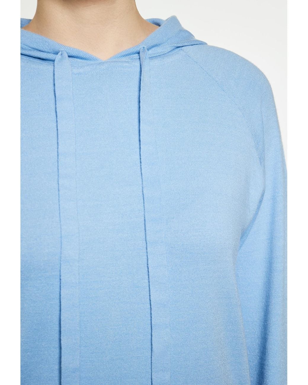 usha BLUE LABEL Blue Pullover