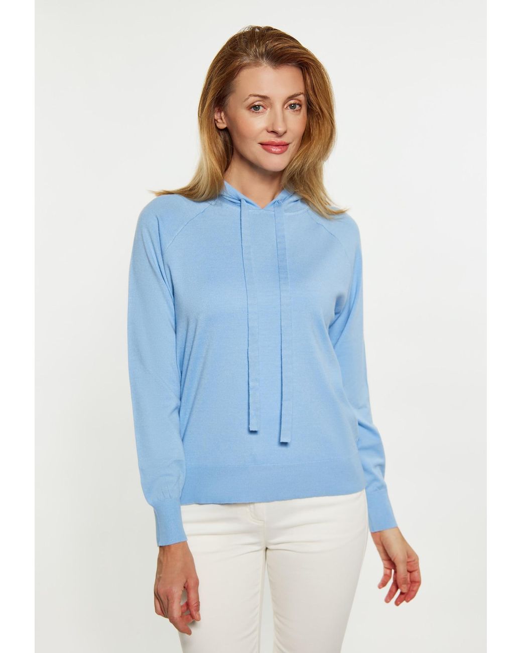 usha BLUE LABEL Blue Pullover