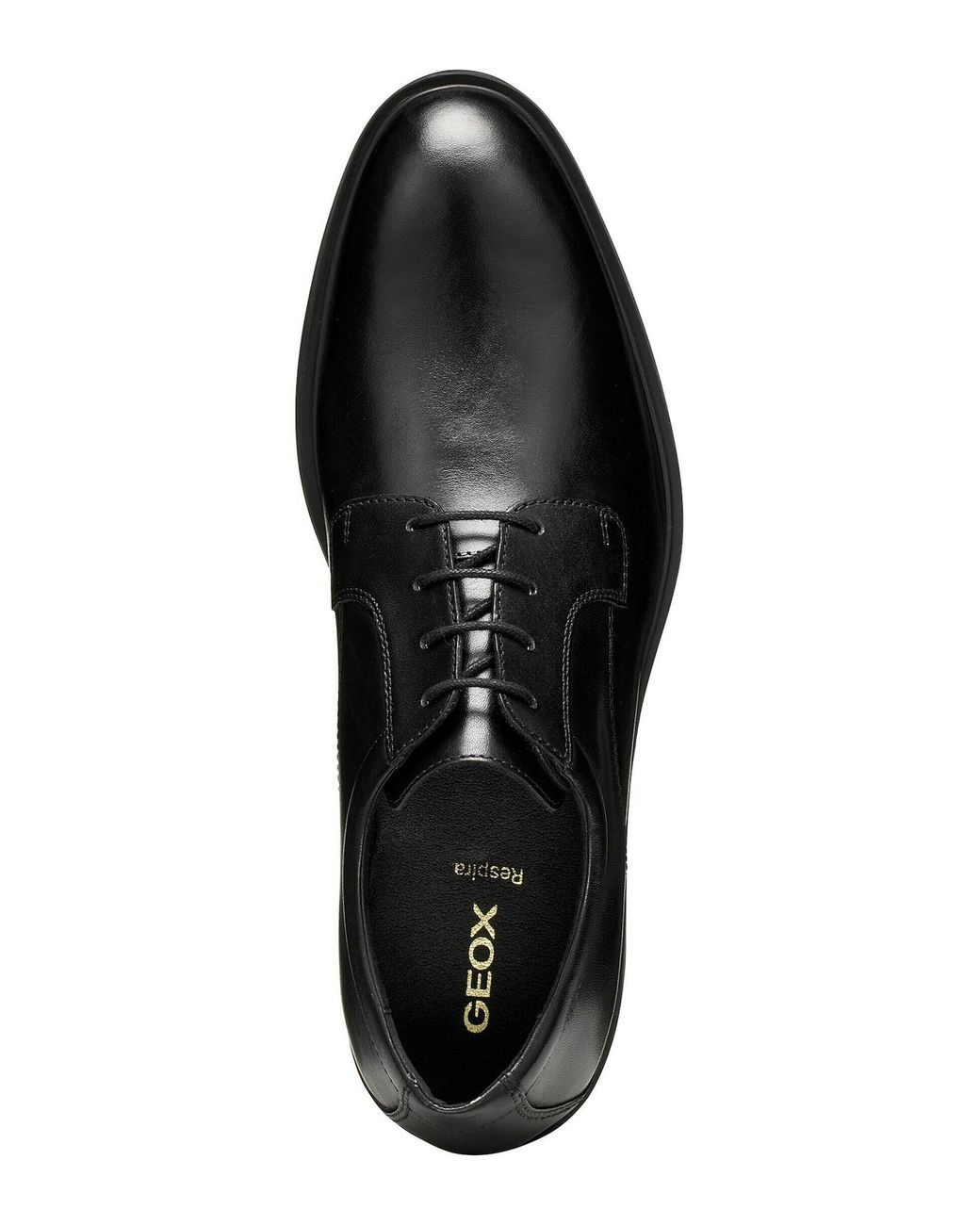 Geox Schnürschuh U Thorian in Black für Herren