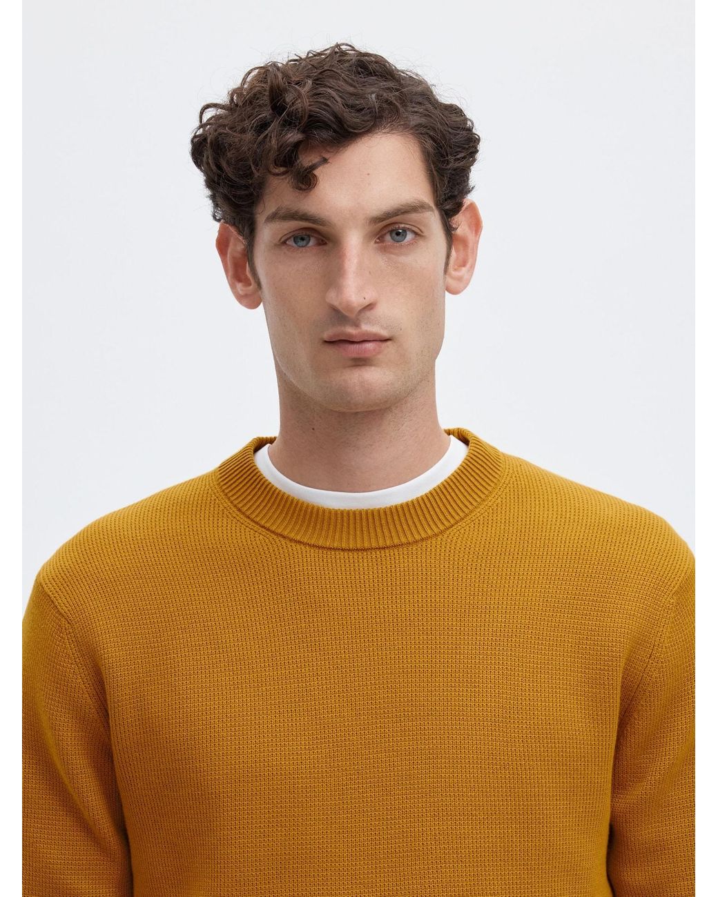 SELECTED Pullover in Blue für Herren