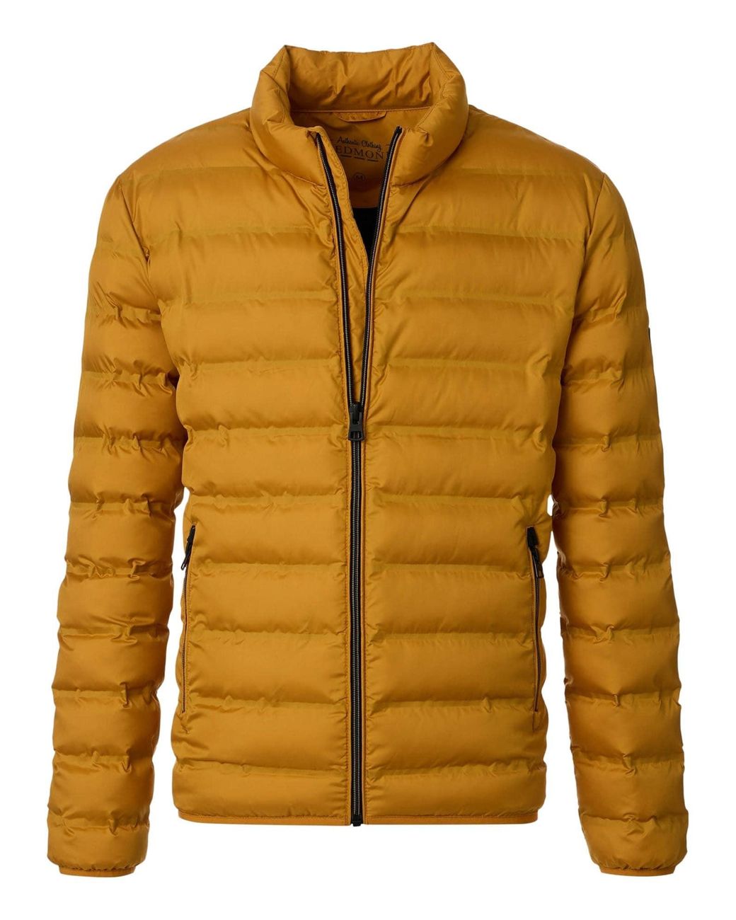 Redmond Übergangsjacke Basic in Yellow für Herren