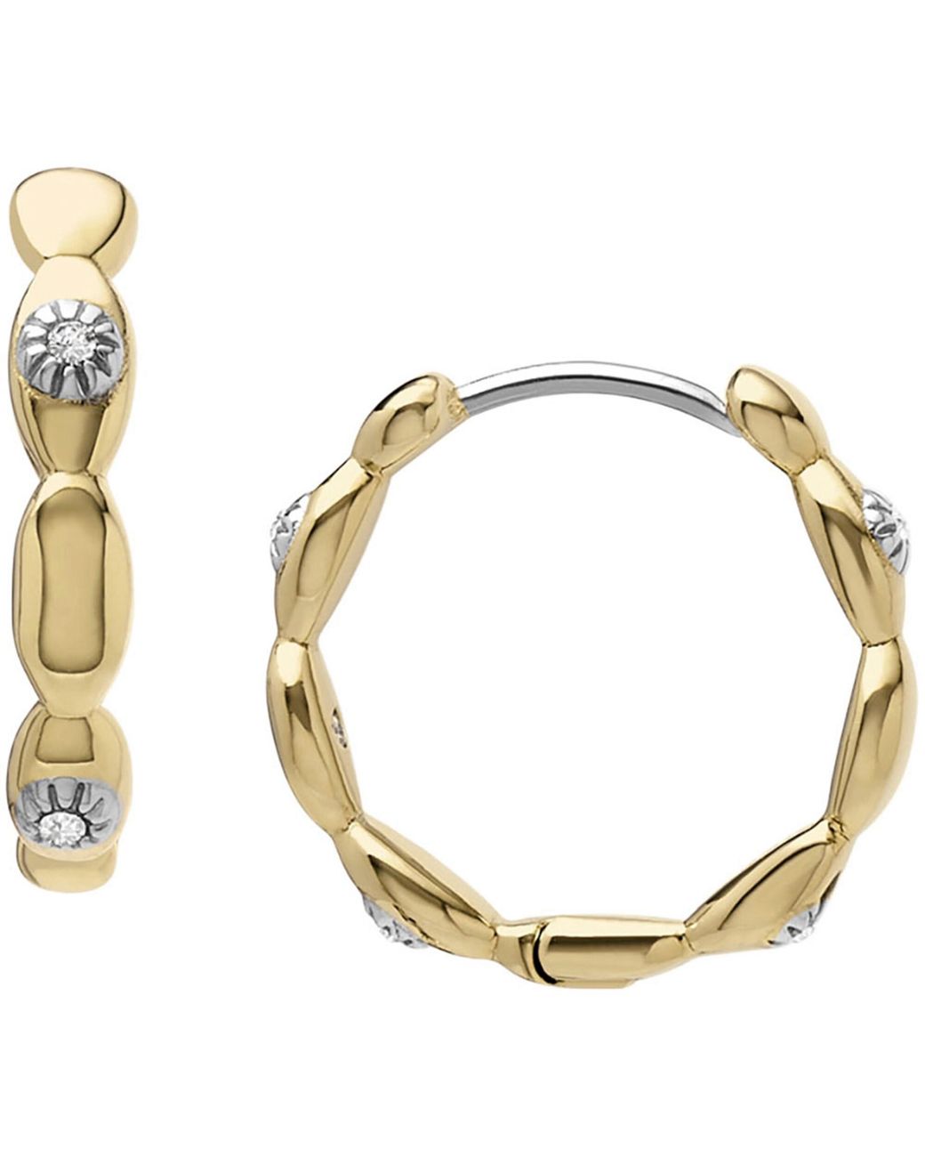 Fossil Black Ohrringe Sutton