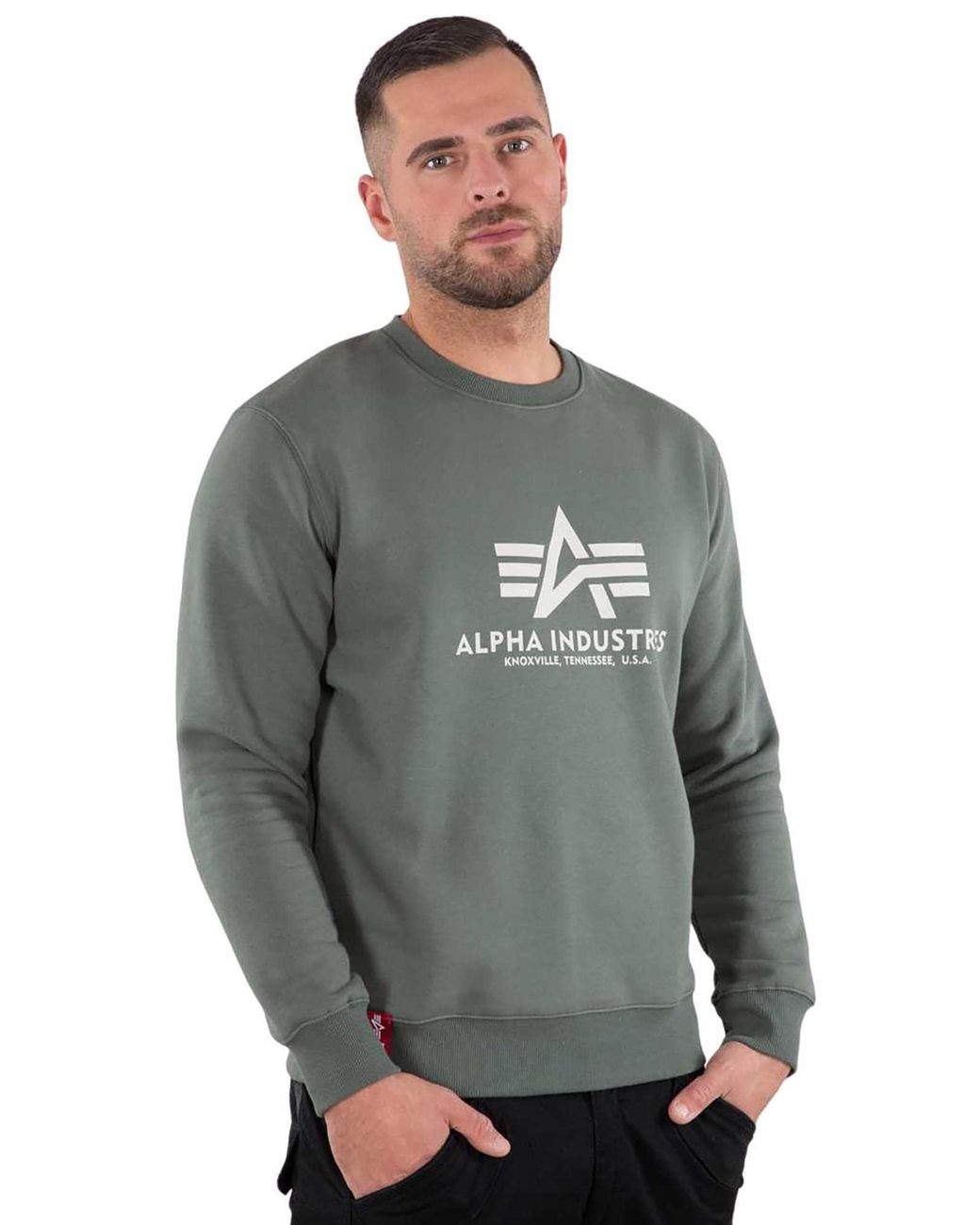 Alpha Industries Sweatshirt Basic in Green für Herren
