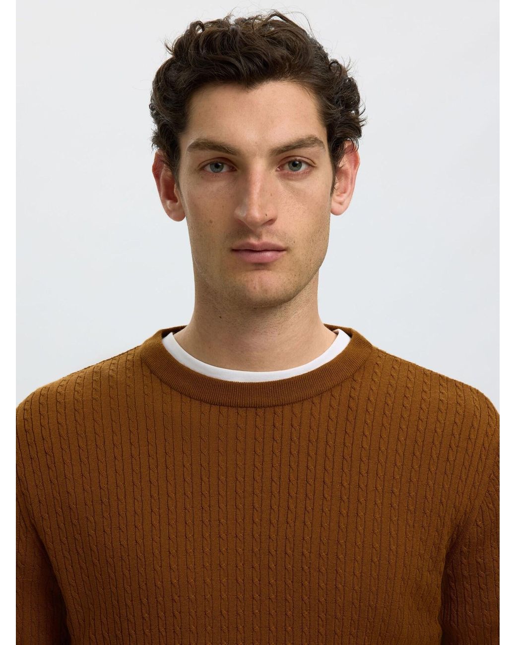 SELECTED Pullover in Brown für Herren