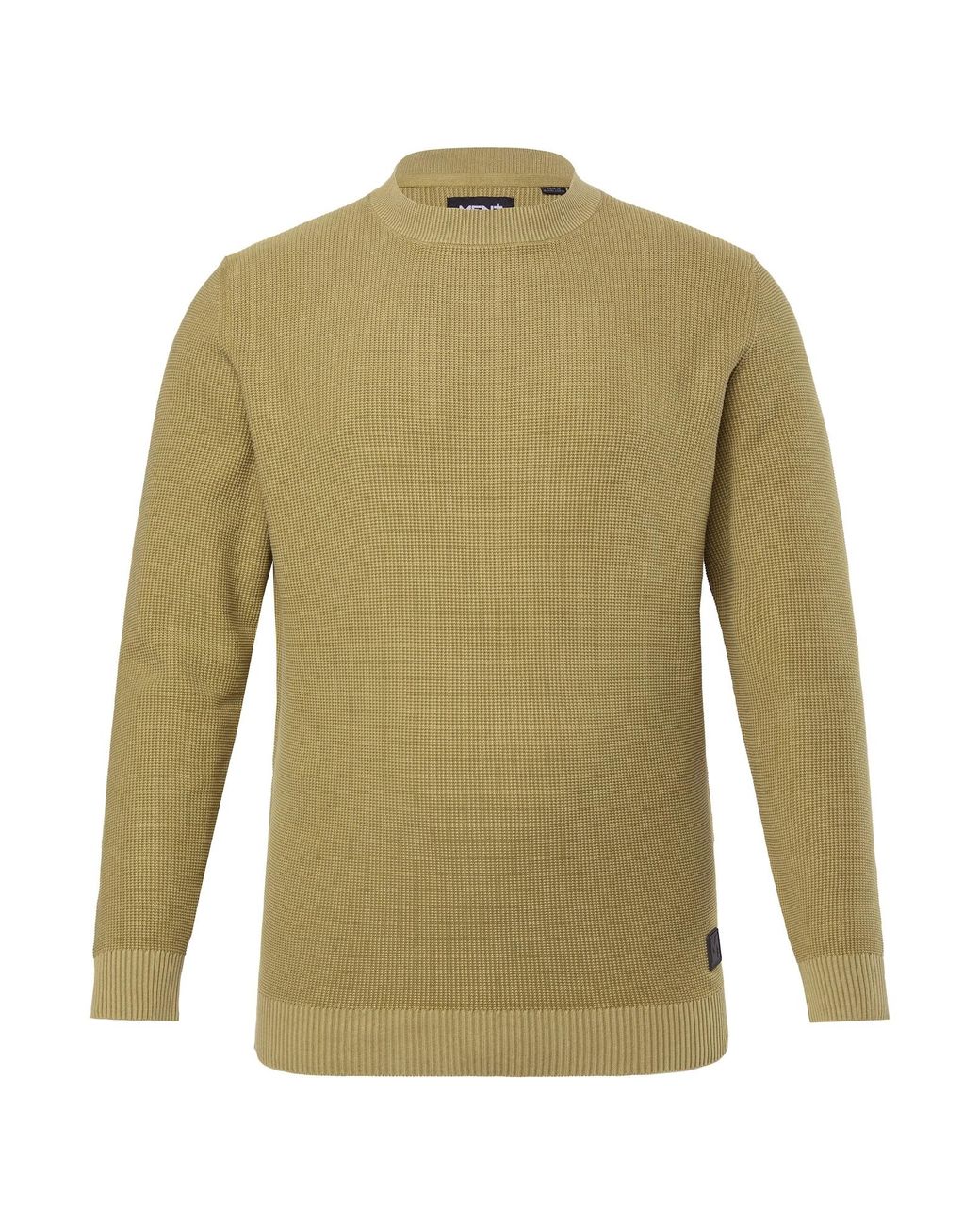 Men Plus Pullover in Green für Herren