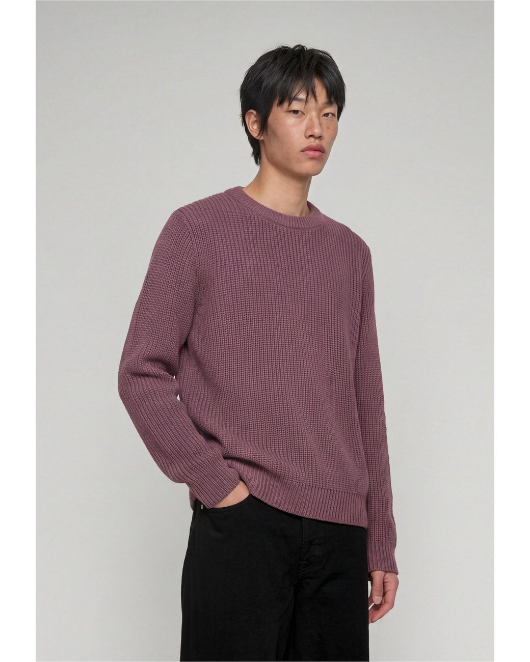 Edwin Pullover Nix in Purple für Herren