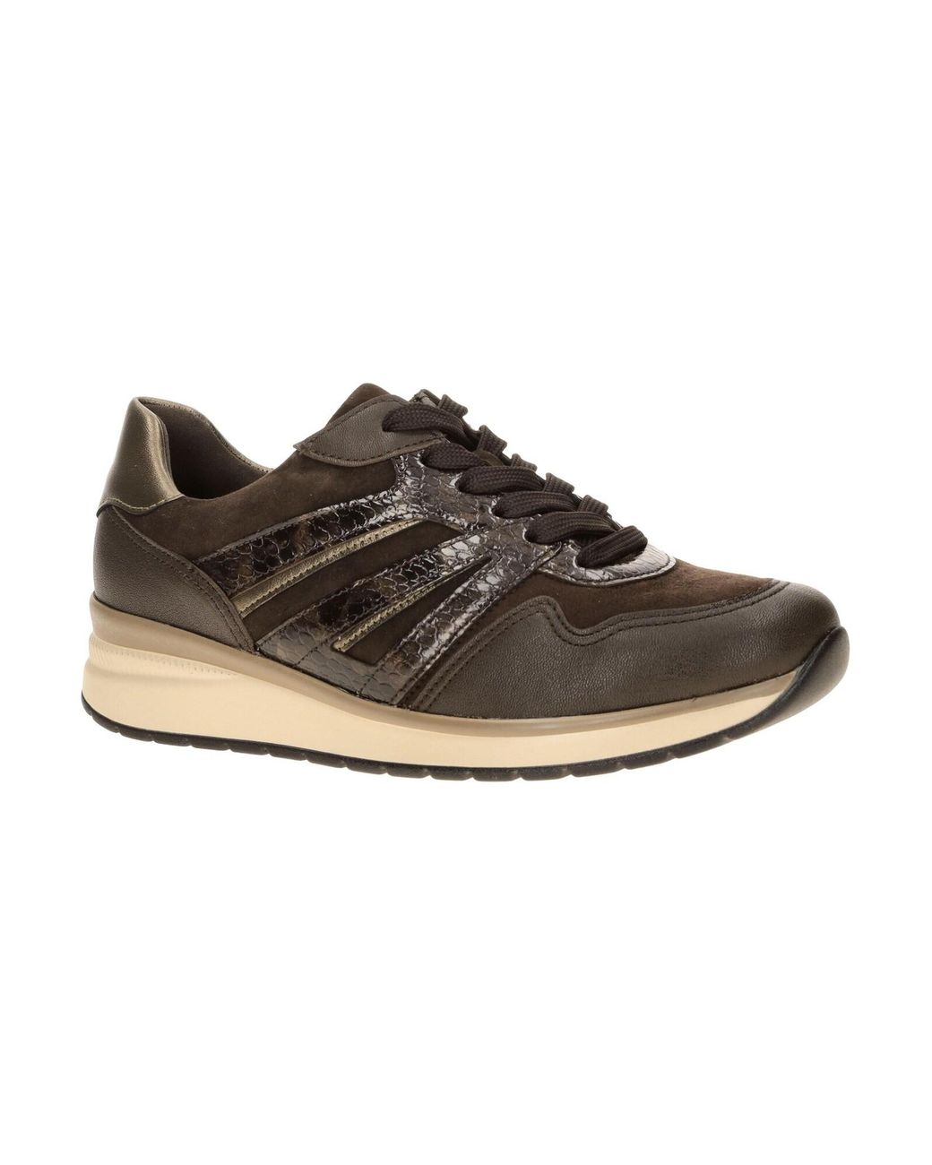 Gabor Brown Sneaker Low 6020.01