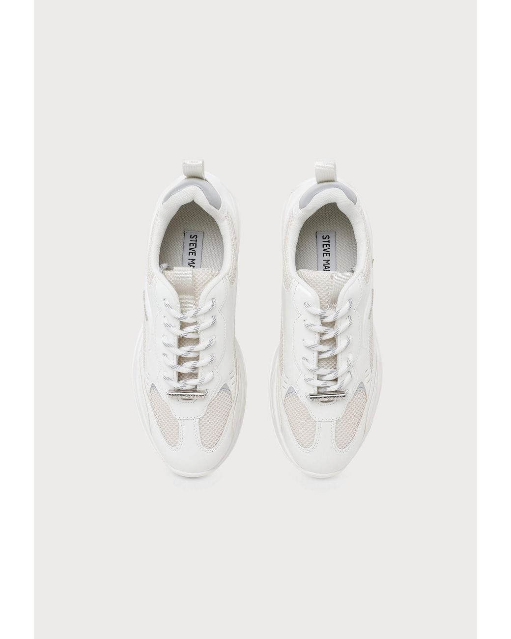 Steve Madden White Sneaker Premio-E