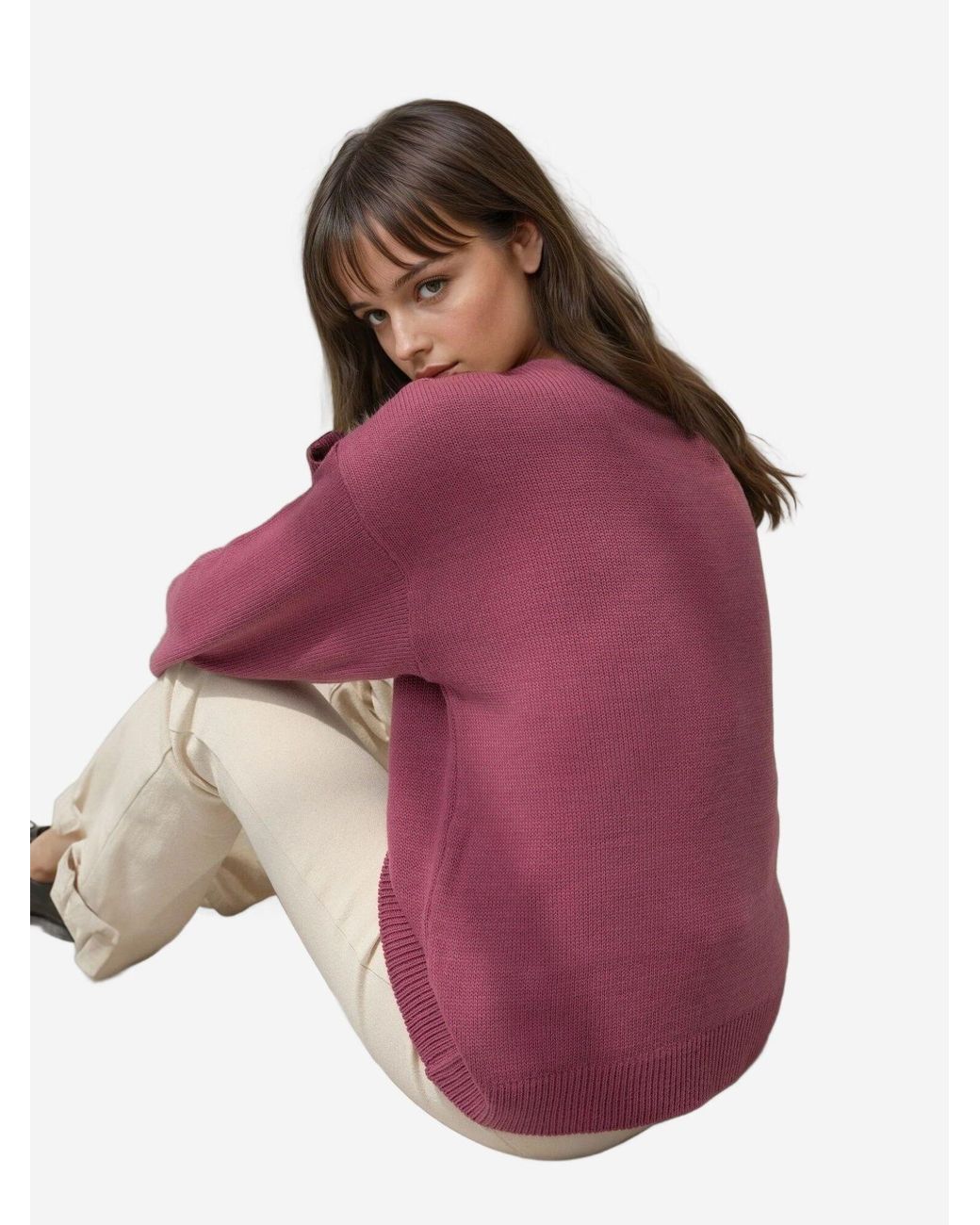 Hiccup Purple Pullover