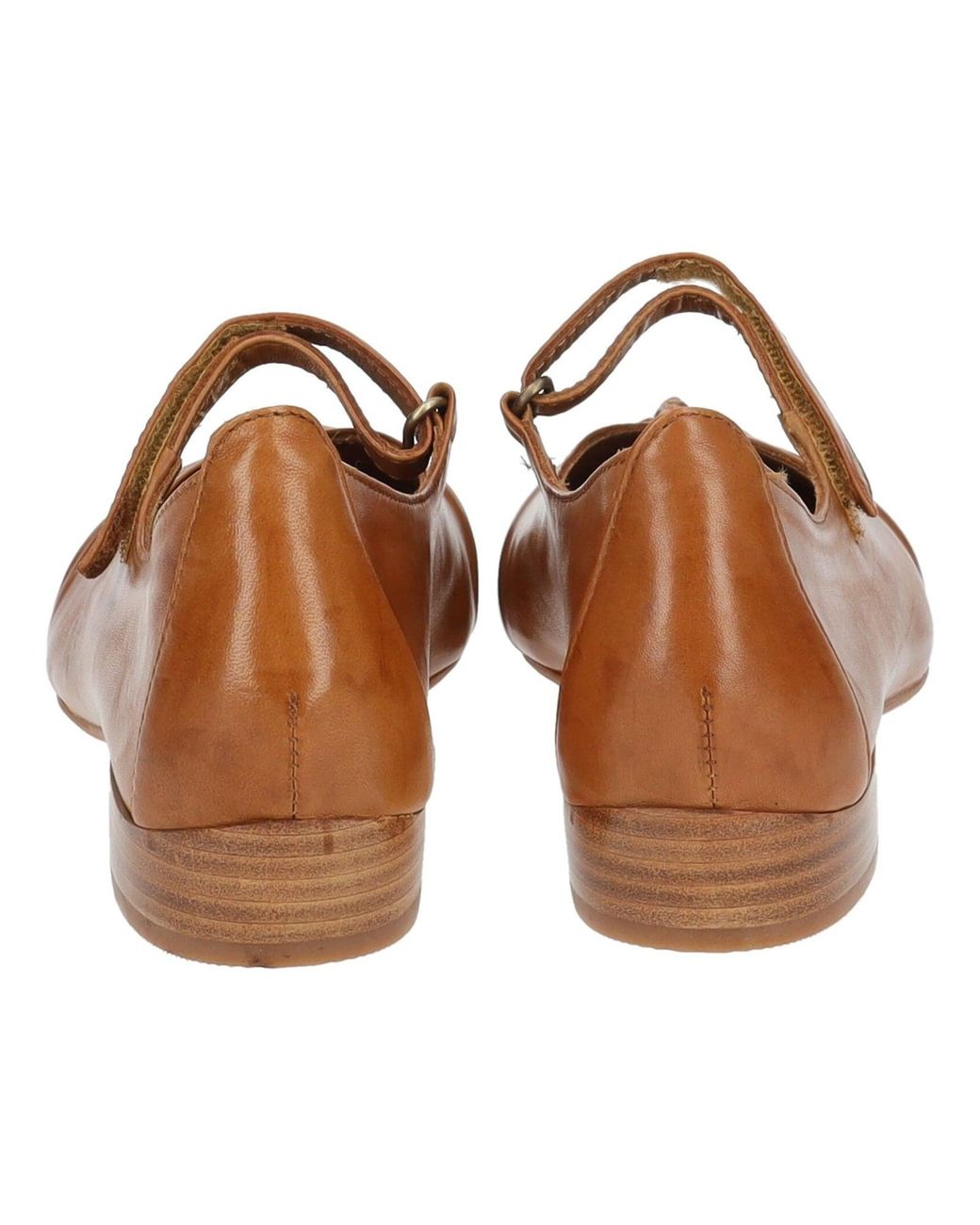 Everybody Brown Ballerina