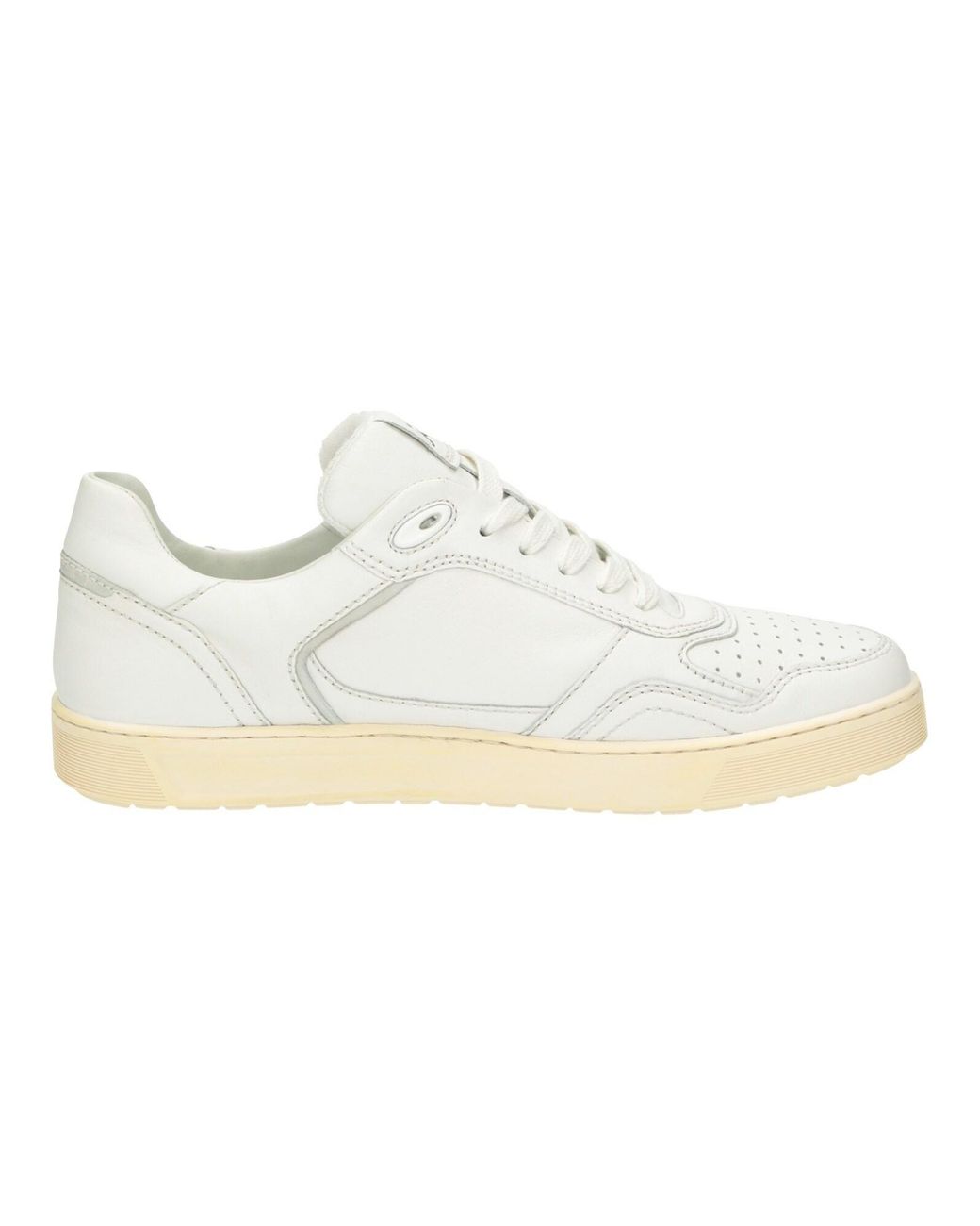 Sioux Sneaker Tedroso-704 in White für Herren