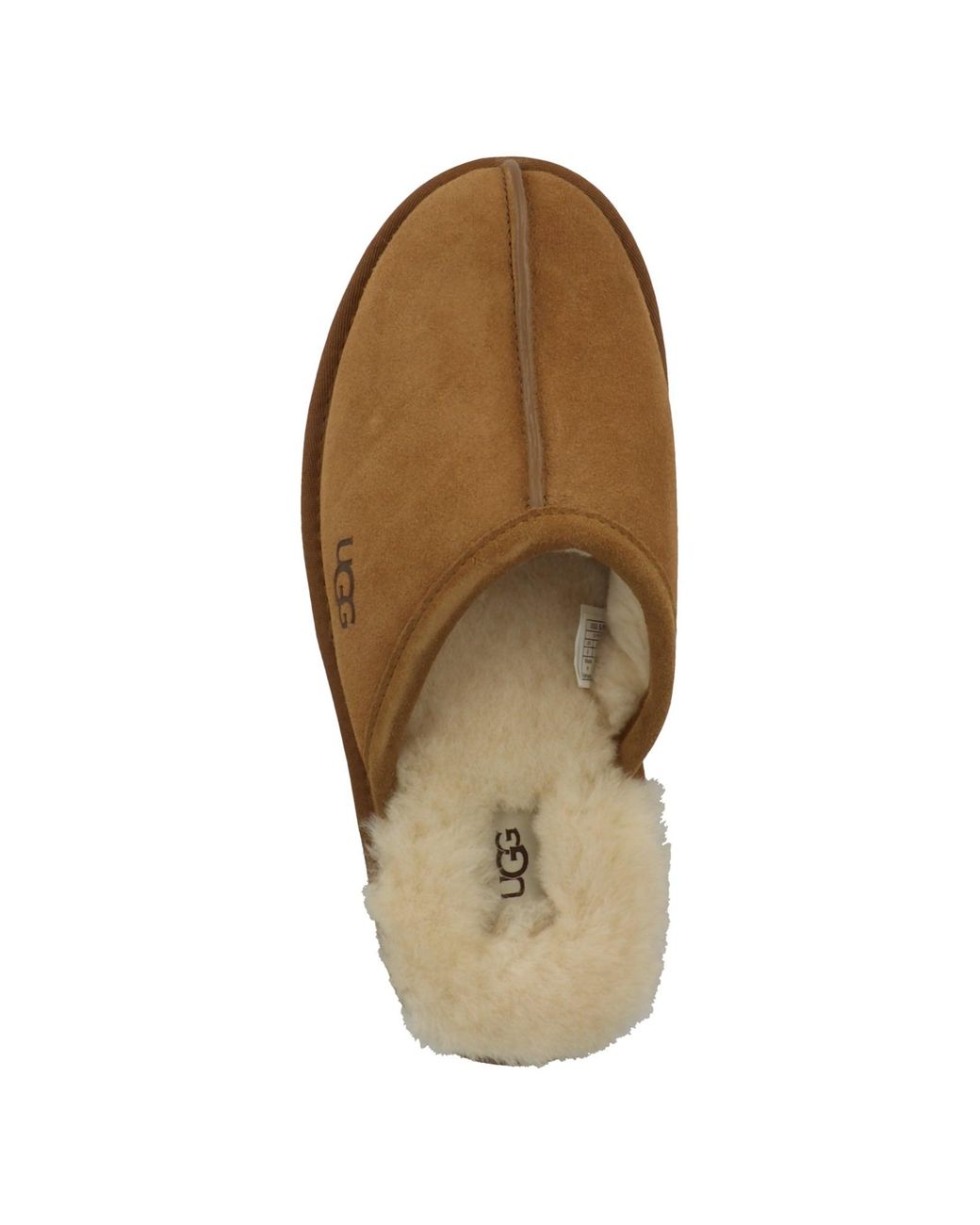 Ugg Hausschuh Scuff in Brown für Herren