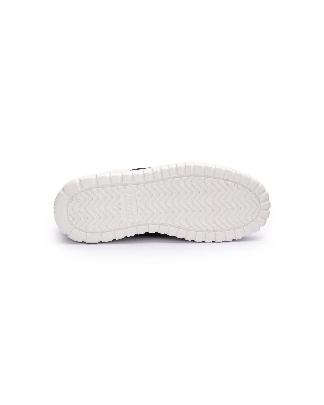 Lloyd White Sneaker Toro Way