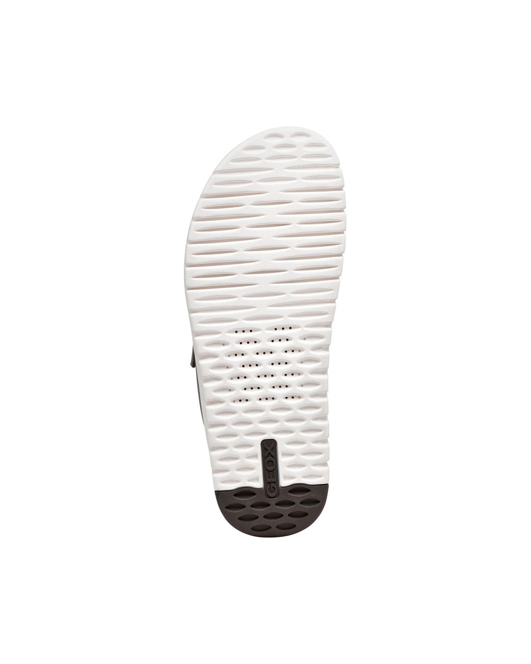 Geox Pantolette in Gray für Herren