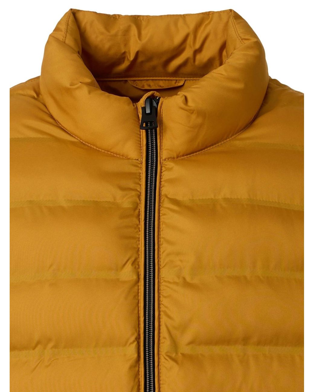 Redmond Übergangsjacke Basic in Yellow für Herren