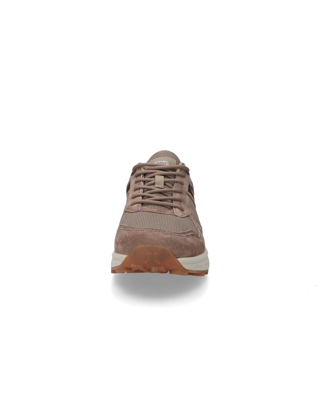 Camel Active Sneaker in Brown für Herren